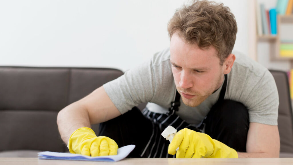 Professional Sofa Cleaning