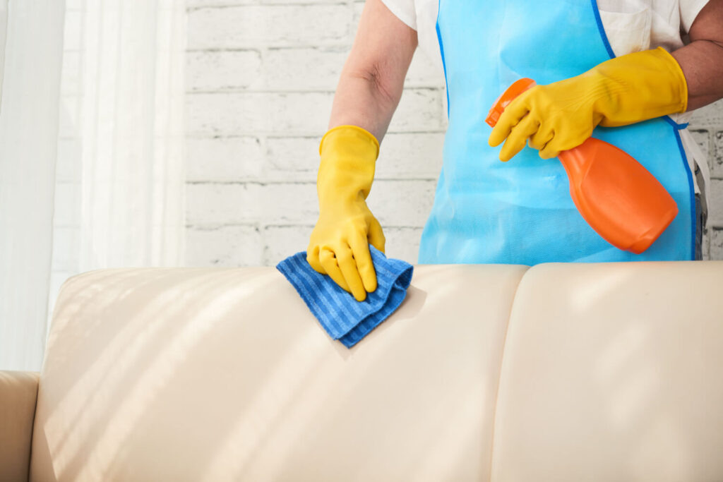 Sofa Cleaning Services